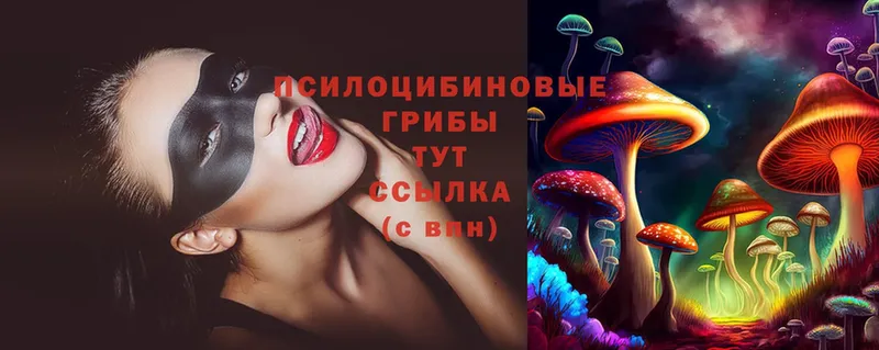 дарк нет официальный сайт  Тверь  Псилоцибиновые грибы Psilocybine cubensis 